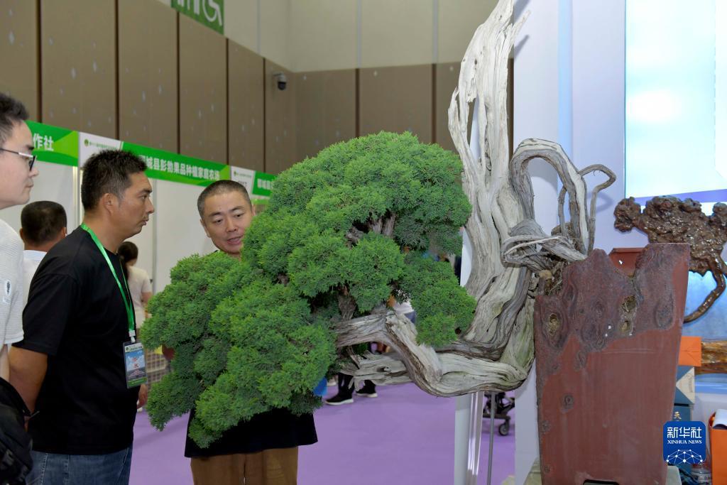 欧亿平台登录地址